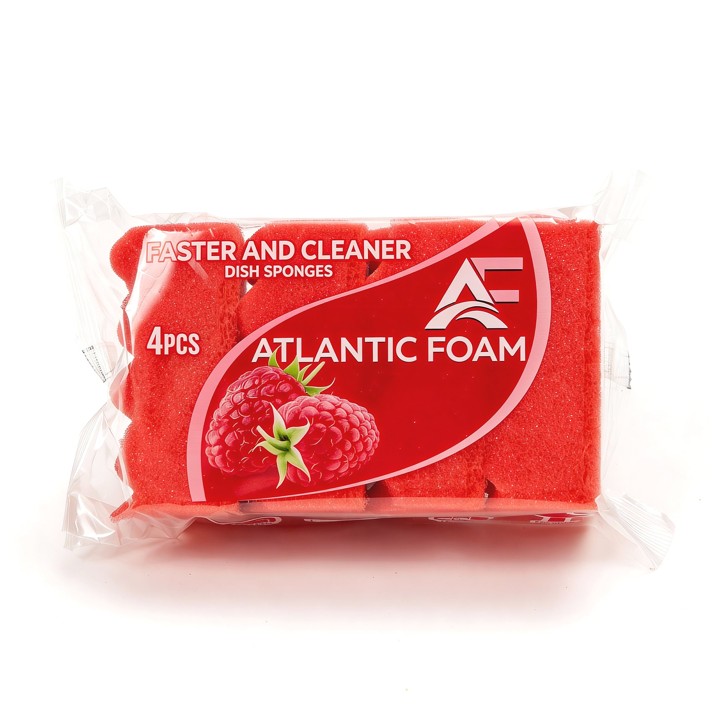 Atlantic Foam™ DualClean Kitchen Sponge Set (4-Pack)